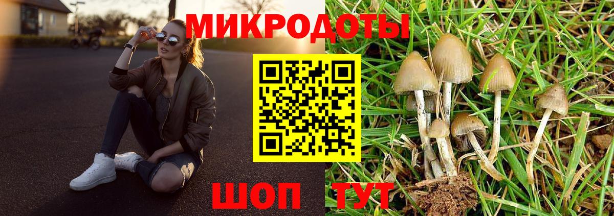 Галлюциногенные грибы мухоморы  Вход с VPN  Партизанск  Галлюциногенные грибы мицелий 
